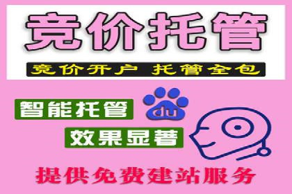 SEM专员案例：关键词策略应用